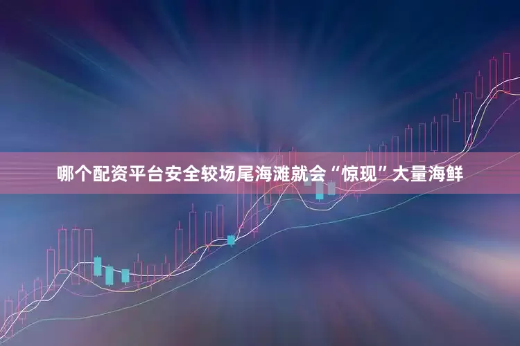 哪个配资平台安全较场尾海滩就会“惊现”大量海鲜