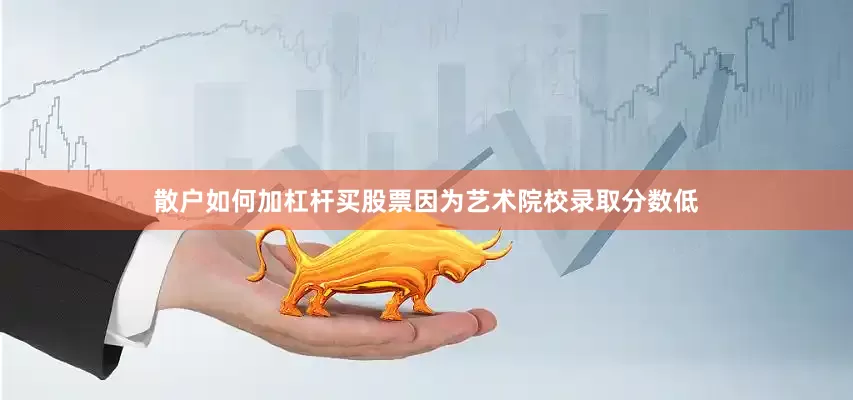 散户如何加杠杆买股票因为艺术院校录取分数低